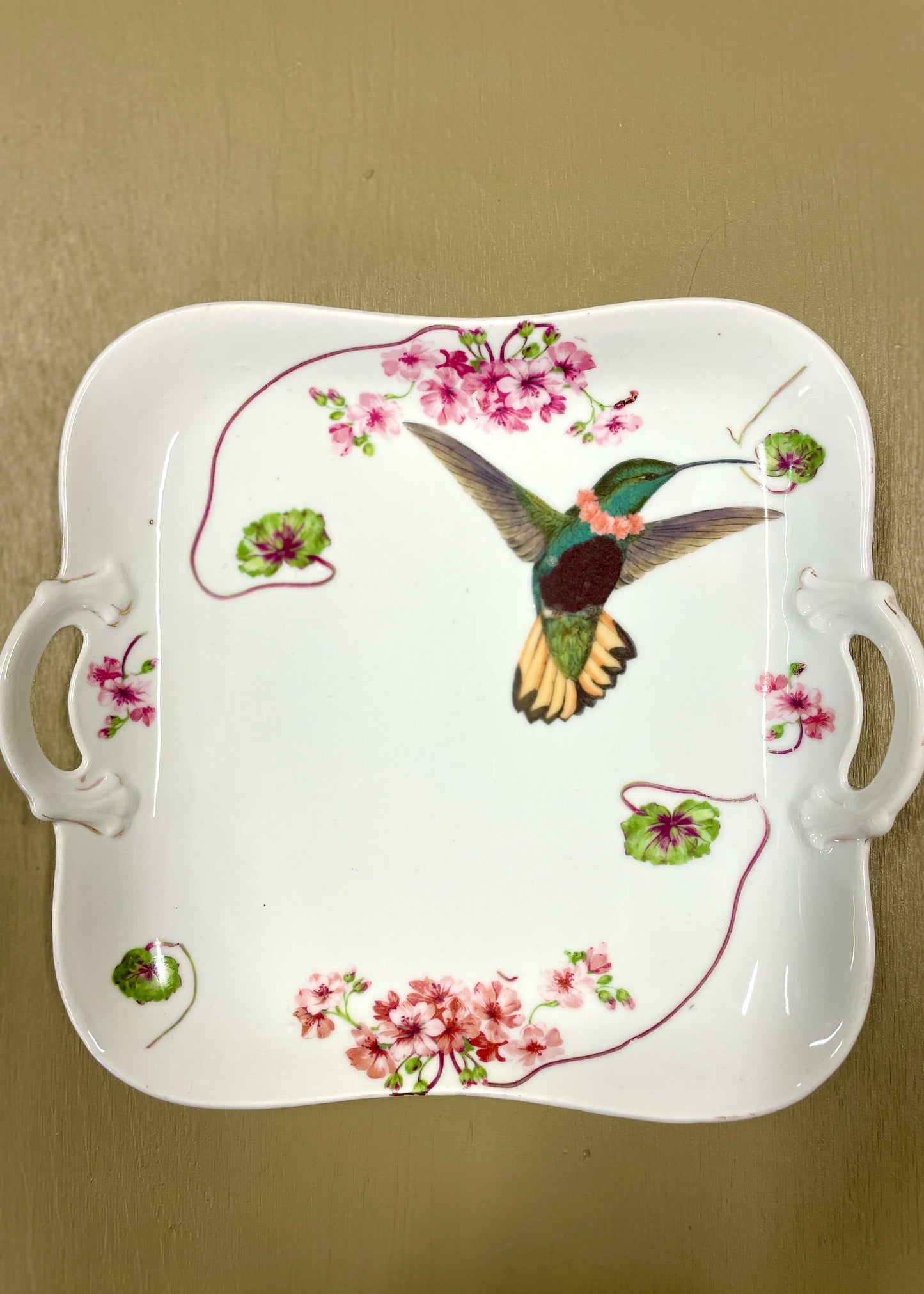 Gepimpte schaal - Hungry Hummingbird