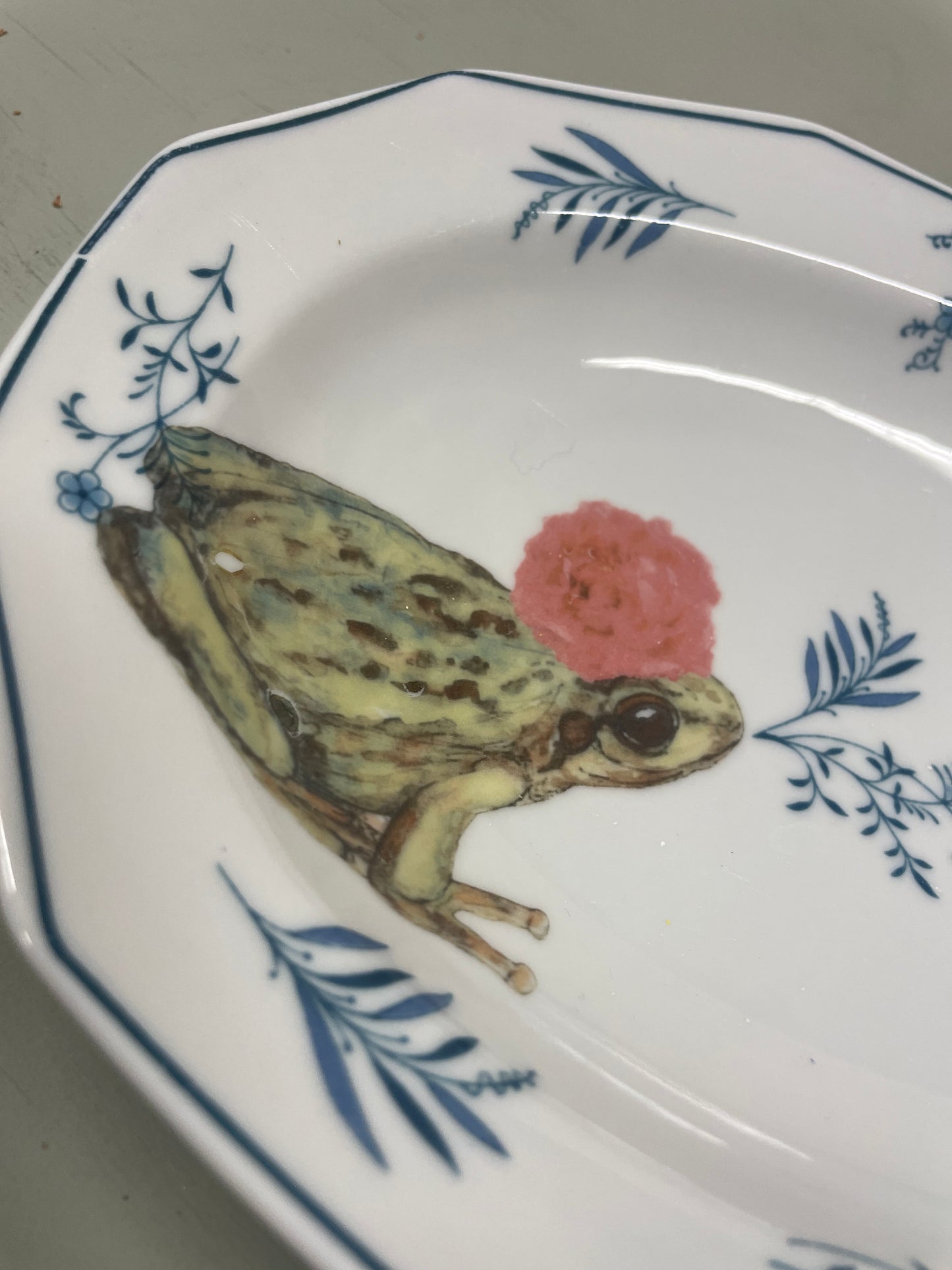 Gepimpte schaal - The frog is een prins